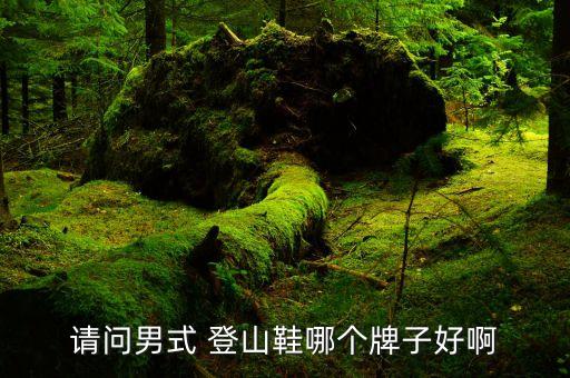 登山體育用品品牌,全球十大體育用品品牌...